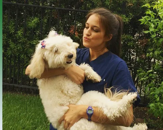 Bingle Vet Katy Picture 6