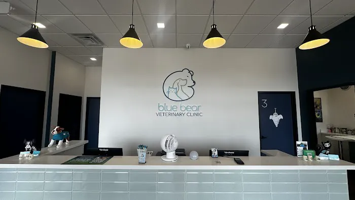 Blue Bear Veterinary Clinic Picture 1