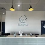 Blue Bear Veterinary Clinic