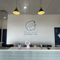 Blue Bear Veterinary Clinic ico