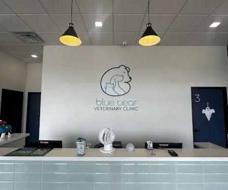 Blue Bear Veterinary Clinic