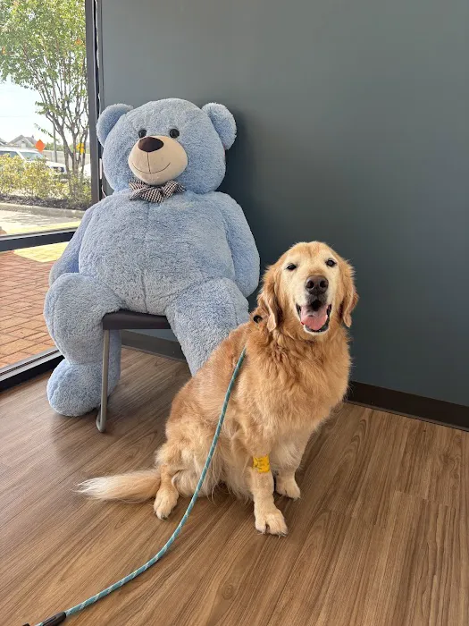 Blue Bear Veterinary Clinic Picture 6