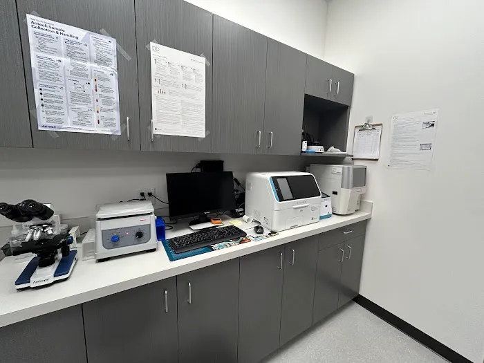 Blue Bear Veterinary Clinic Picture 7
