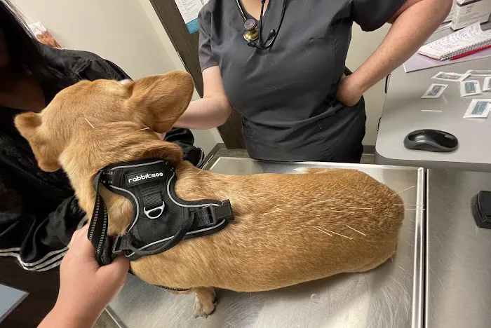 Circle B Veterinary Hospital Picture 7