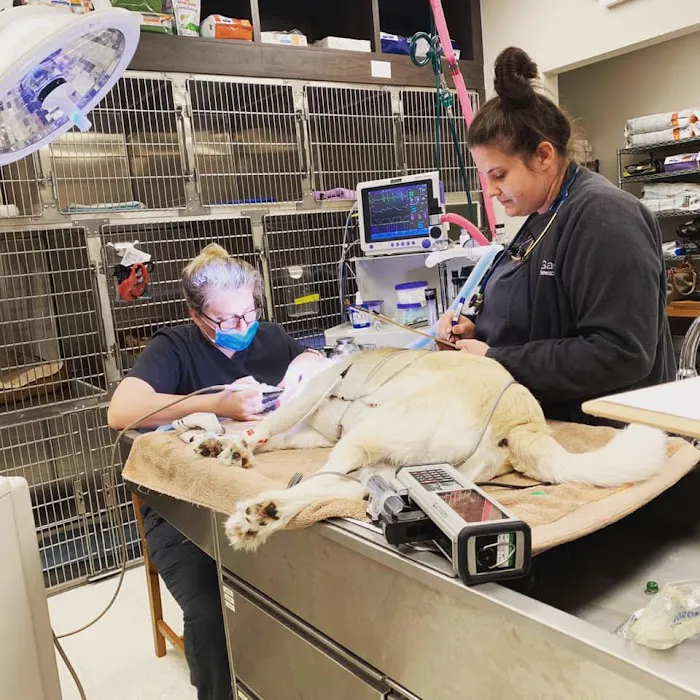 Circle B Veterinary Hospital Picture 6