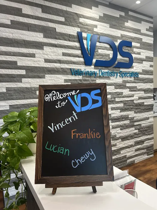 Veterinary Dentistry Specialists Picture 4