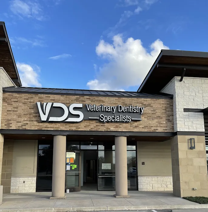 Veterinary Dentistry Specialists Picture 10