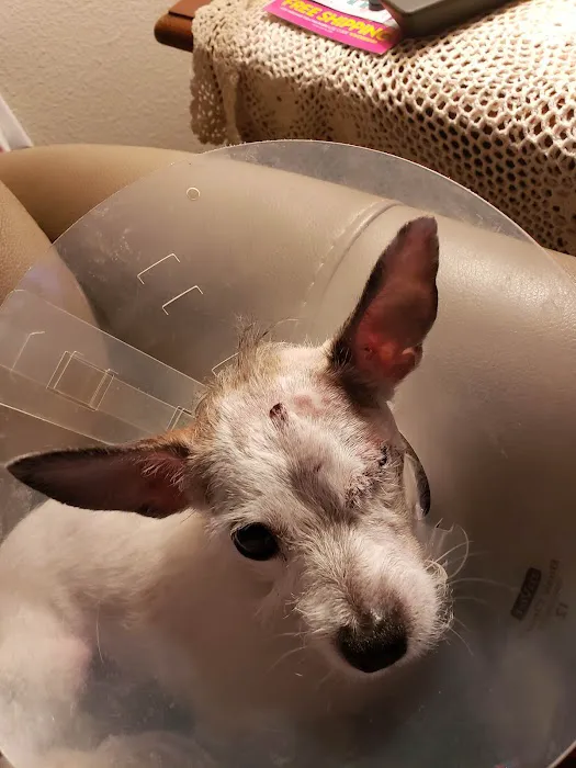Fort Bend Animal Hospital Picture 1
