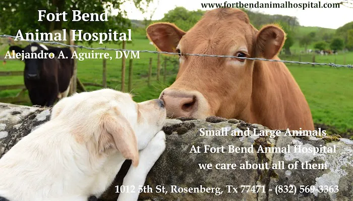 Fort Bend Animal Hospital Picture 4
