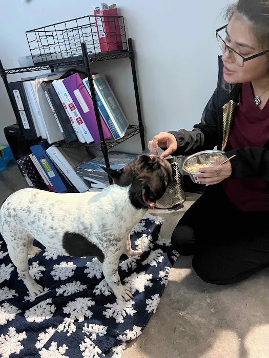 Southwest Veterinary Center Picture 1