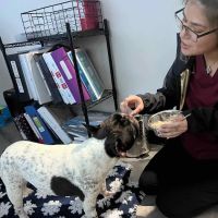 Southwest Veterinary Center ico