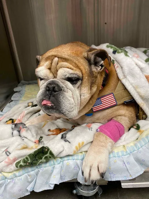 Southwest Veterinary Center Picture 6
