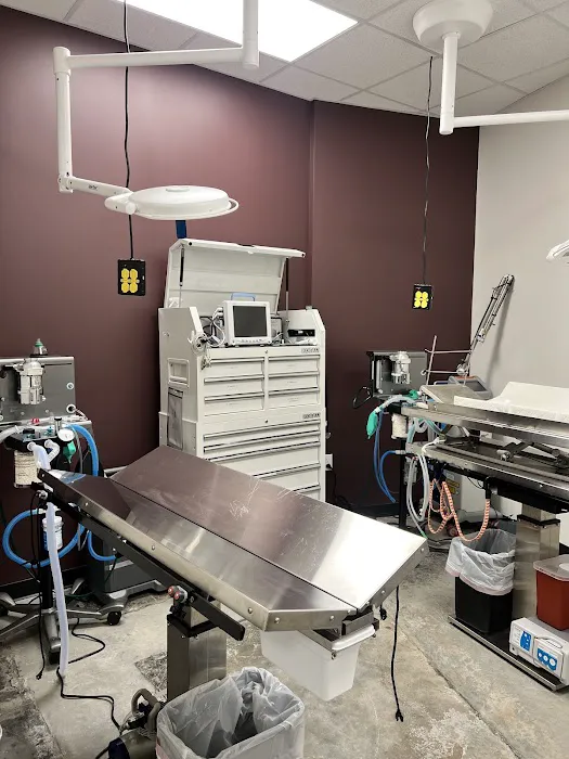 Southwest Veterinary Center Picture 10