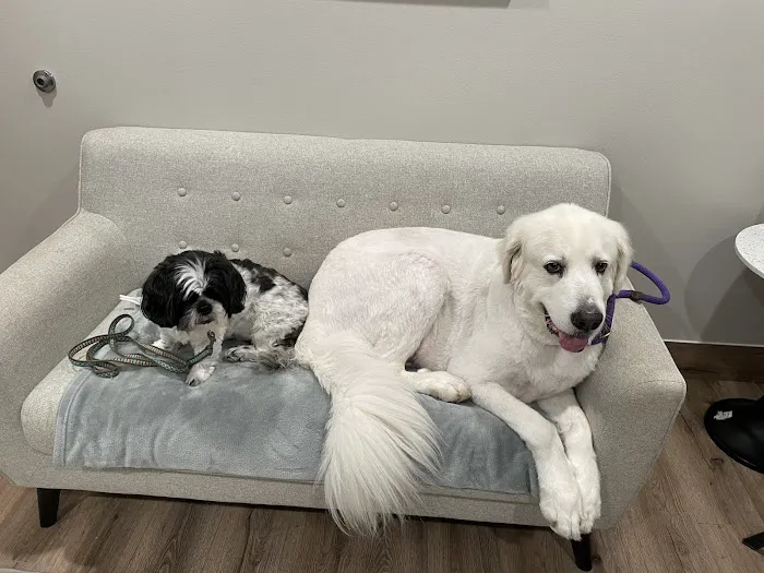 Four Paws at Fulshear Veterinary Clinic Picture 8