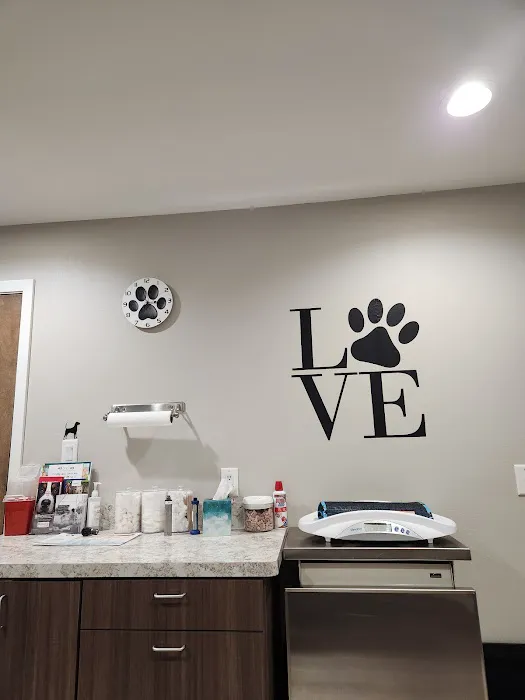 Four Paws at Fulshear Veterinary Clinic Picture 6