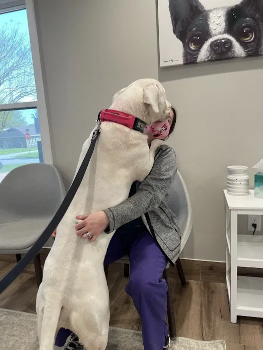 Four Paws at Fulshear Veterinary Clinic Picture 9