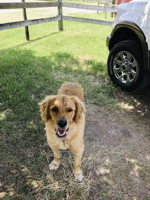Katy Veterinary Clinic Picture 1