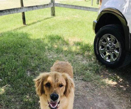 Katy Veterinary Clinic