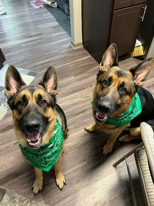 Katy Veterinary Clinic Picture 6