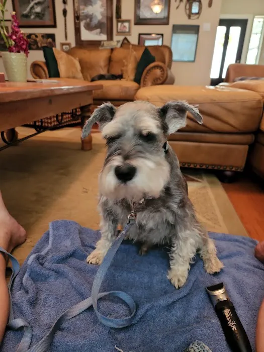 Katy Veterinary Clinic Picture 7