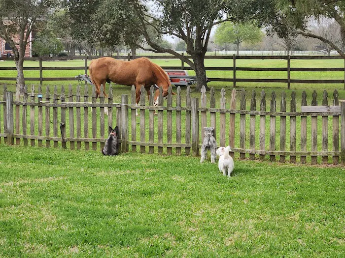 Katy Veterinary Clinic Picture 8