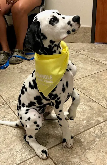 Triangle Animal Clinic Picture 5