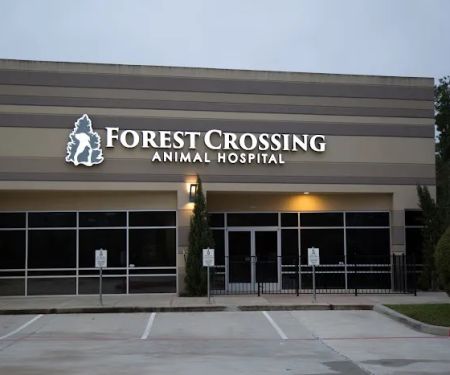 Forest Crossing Animal Hospital