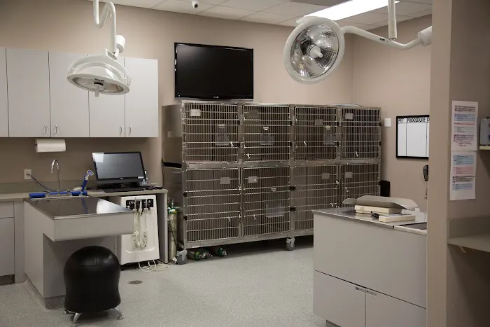 Forest Crossing Animal Hospital Picture 7