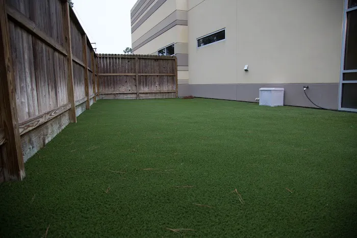 Forest Crossing Animal Hospital Picture 5