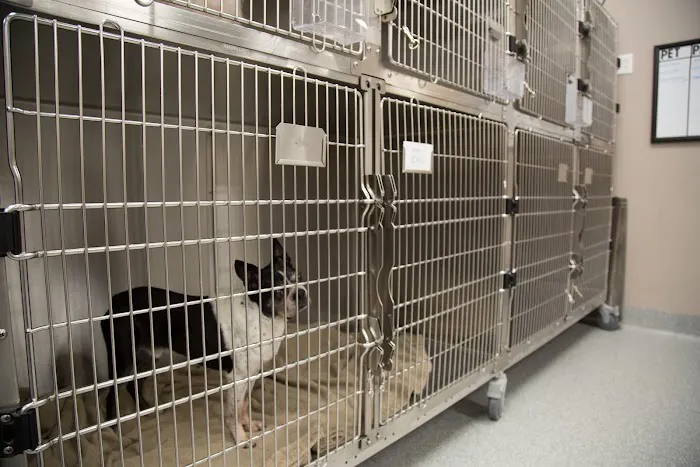 Forest Crossing Animal Hospital Picture 9