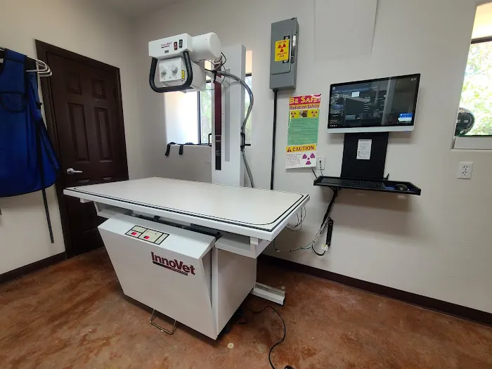 Kainer Veterinary Hospital Picture 4