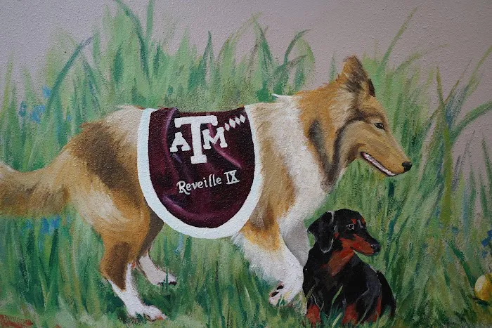 Kainer Veterinary Hospital Picture 6