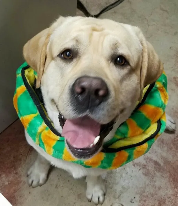 Kainer Veterinary Hospital Picture 9