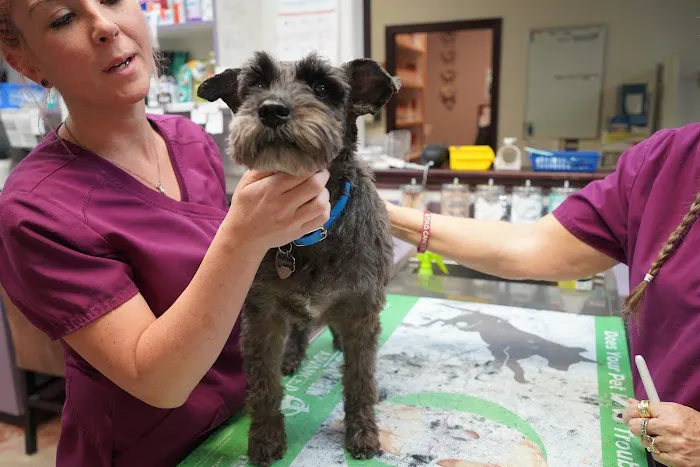 Kainer Veterinary Hospital Picture 10