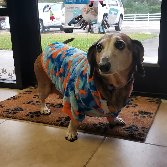 Thomas Animal Clinic Picture 3