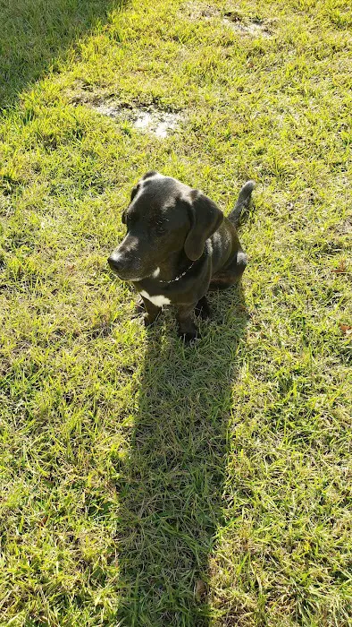 Thomas Animal Clinic Picture 4