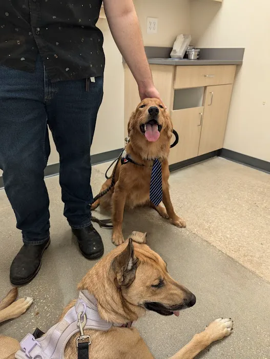 Vetco Total Care Animal Hospital Picture 4