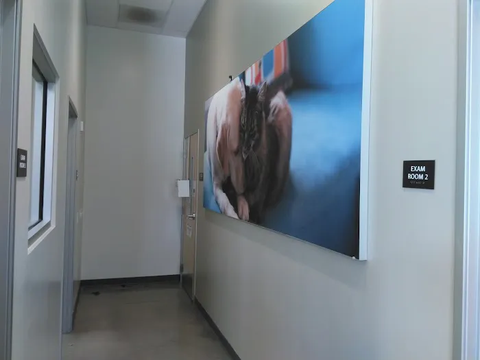 Vetco Total Care Animal Hospital Picture 8