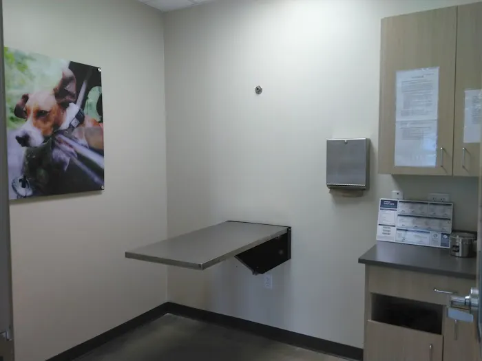 Vetco Total Care Animal Hospital Picture 10