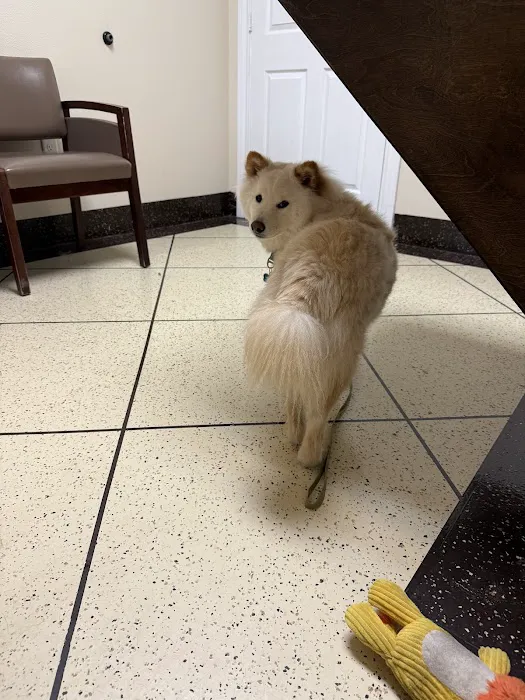 Emergency Pet Care of Texas Picture 1