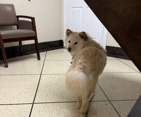 Emergency Pet Care of Texas