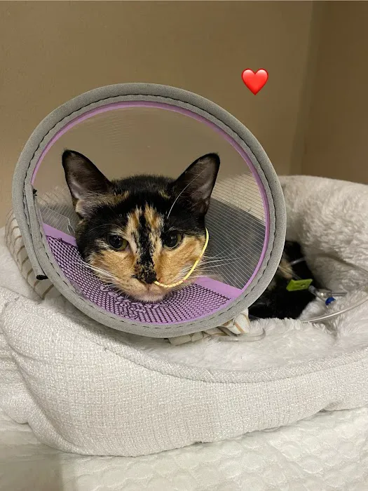 Emergency Pet Care of Texas Picture 2