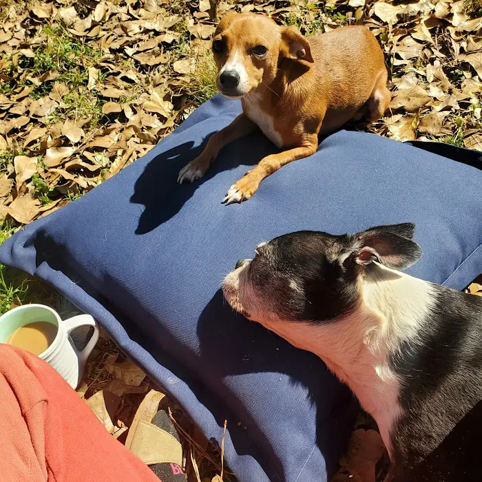 Emergency Pet Care of Texas Picture 7