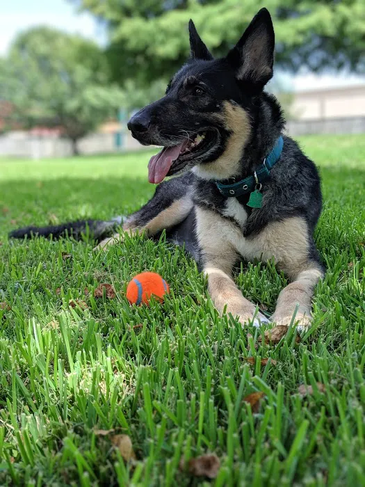 Emergency Pet Care of Texas Picture 10