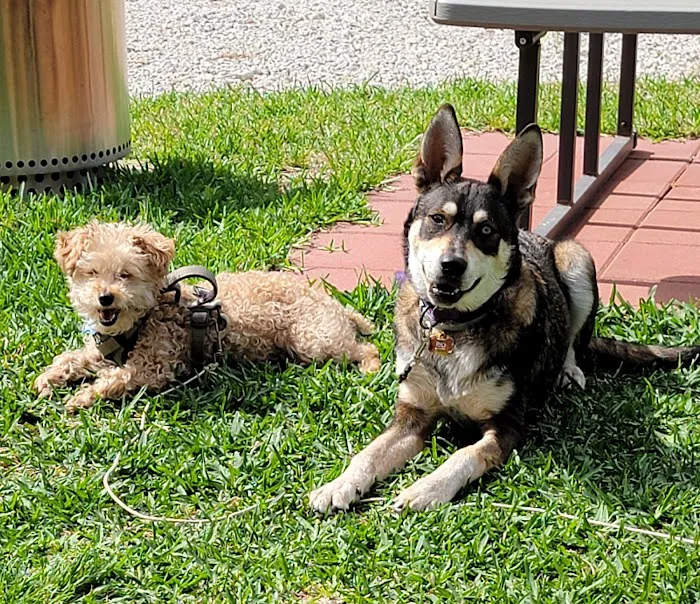 FM 1488 Animal Medical Center Picture 4