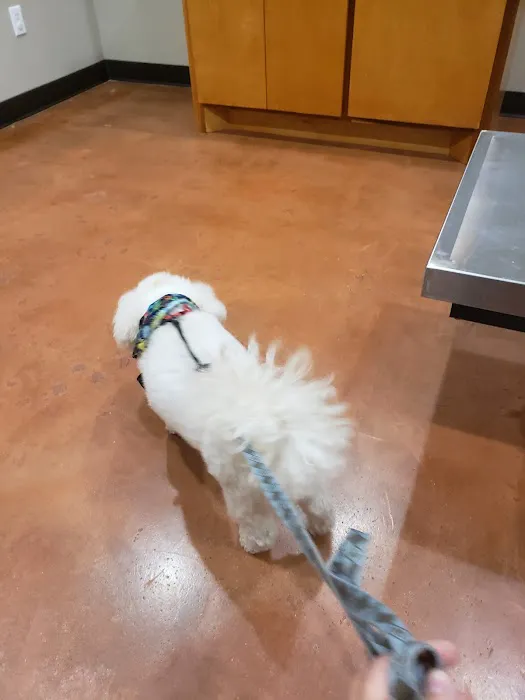 FM 1488 Animal Medical Center Picture 1