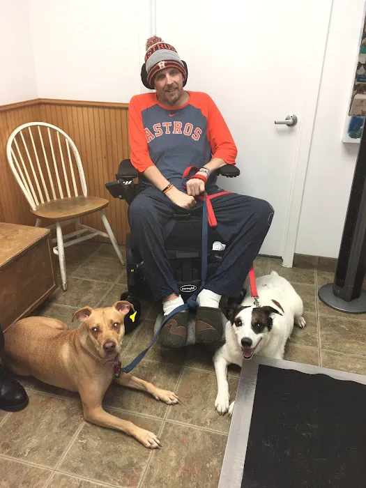 The Pet Wellness Clinic Picture 3