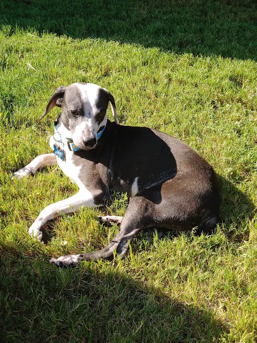 Galveston Veterinary Clinic Picture 3