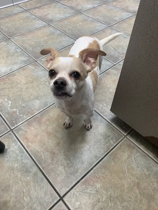Galveston Veterinary Clinic Picture 1