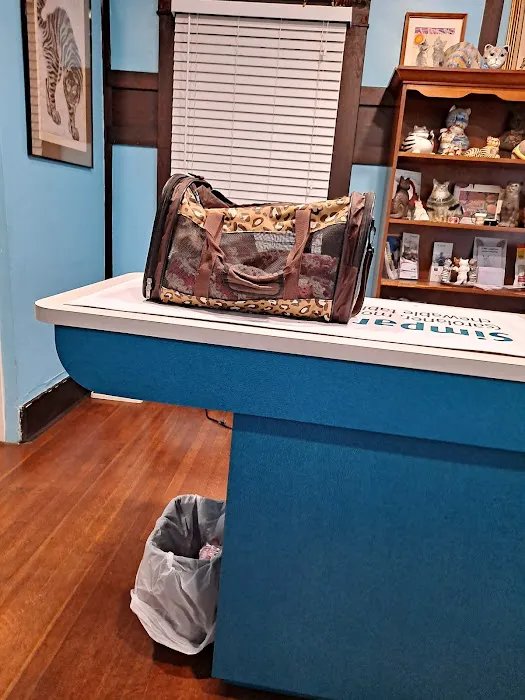 The Cat Clinic Picture 5